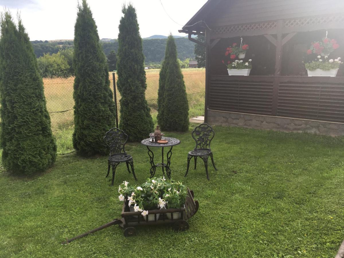 Casa Bambi Hotell Sovata Eksteriør bilde